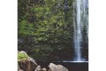 Striped Sailor T-Shirt
